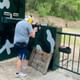 Shooting service