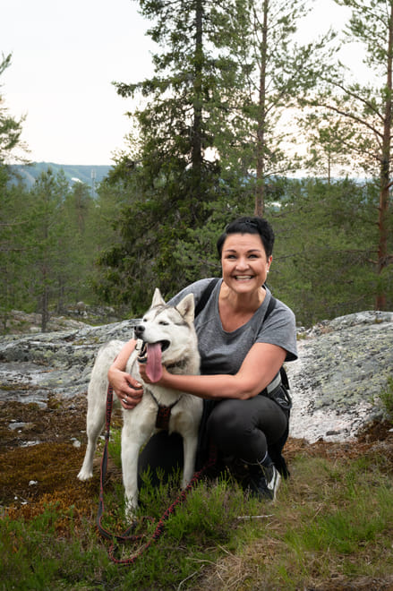 Midnight Sun Husky hiking, Husky Park, Siberian Husky, Rovaniemi Lapland