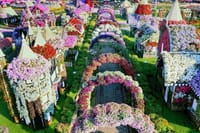 Dubai Miracle Garden