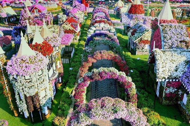 Dubai Miracle Garden and Butterfly Garden with Private Transfers
