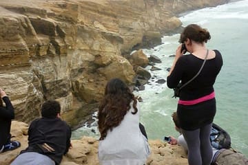 Paracas National Reserve Half Day Tour