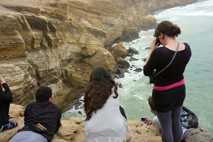 Paracas National Reserve Half Day Tour 5