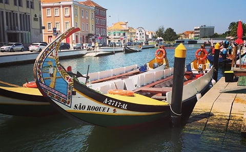 Shared Coimbra & Aveiro Tour from Porto with Moliceiro Cruise