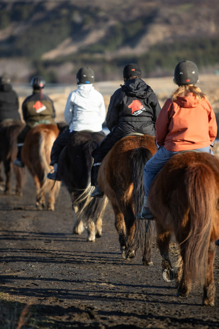 04D - Riding and Gullfoss, Geysir & Þingvellir 10