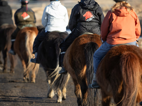 04D - Riding and Gullfoss, Geysir & Þingvellir, photo 10