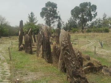 Day Trip to Tiya and Melka Kunture from Addis Ababa
