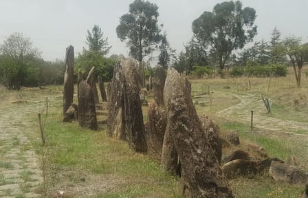 Day Trip to Tiya and Melka Kunture from Addis Ababa