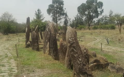 Day Trip to Tiya and Melka Kunture from Addis Ababa
