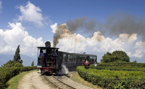 Kolkata to Sundarbans and Eastern Himalayas 10-Day Tour