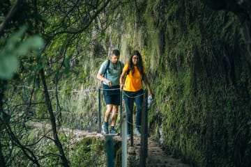 PR9 Queimadas Caldeirão Verde Levada Hiking Transfer