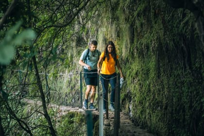 PR9 Queimadas Caldeirão Verde Levada Hiking Transfer