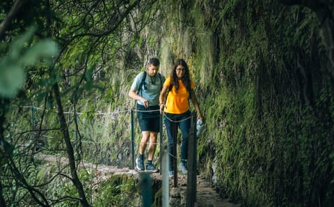 Levada Hiking Tour from Funchal to Caldeirão Verde