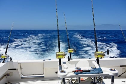 Deep Sea Fishing Tour