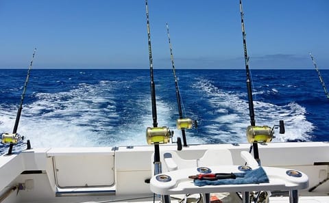 Deep Sea Fishing Adventure in Punta Cana, Dominican Republic