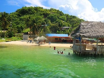 Roatan Sun & Fun, Sloths & Monkeys, Beach & Private Transfer