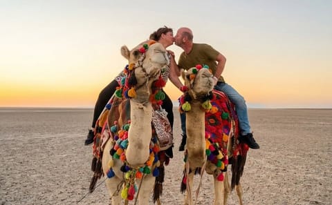 Camel Riding Tour Along Hurghada's Beaches or Desert