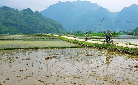 Full Day Motorbike Tour in Pu Luong Nature Reserve
