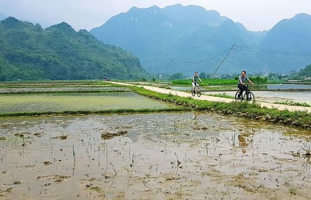 Full Day Motorbike Tour in Pu Luong Nature Reserve