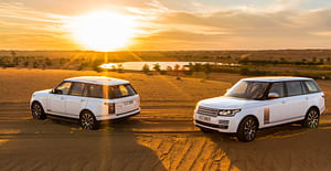 Book a Platinum Wildlife Desert Safari with Land Rover & Dinner