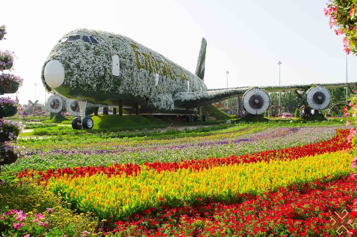 Dubai : Miracle Garden, The World’s Largest Flower Paradise