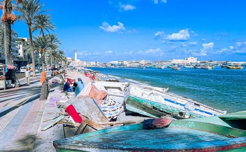 Private Cultural Day Tour of Alexandria from Cairo