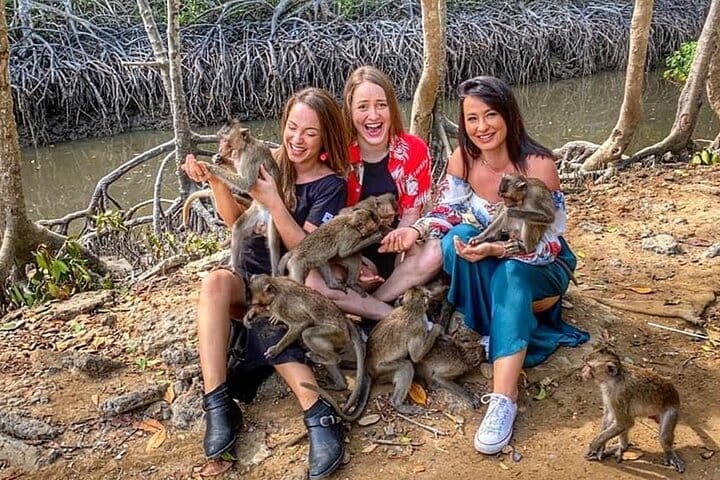 Explore Monkey Islands and Gio Mangrove Forest From Ho Chi Minh 4