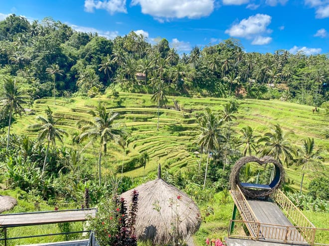 Banyumala Waterfall Trek, Bedugul and Lake Beratan Tour 9