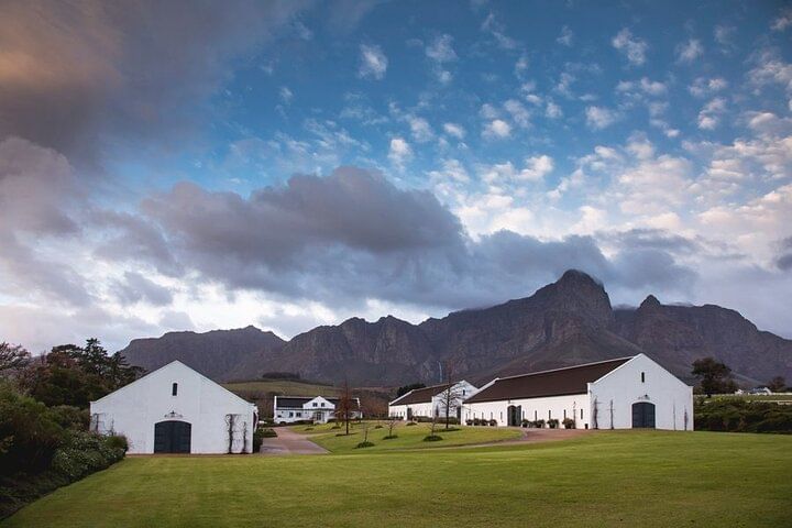 Cape Winelands Wine Tasting Experience