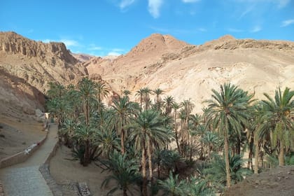 3-Day 2-Night SAHARA Tour South Tunisia Splendors DOUZ and TOZEUR