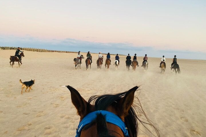 Hurghada : Horse Riding 2 Hours Sea & Desert with Transfer 4