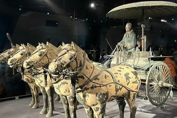 Xi'an Terracotta Warriors and City Wall Exploration Tour