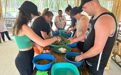 From Phuket to Khao Lak Elephant Sanctuary Tour with Waterfall and Lunch