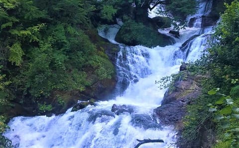 Lechkhumi Day Tour: Nature and Usakhelouri Wine Experience