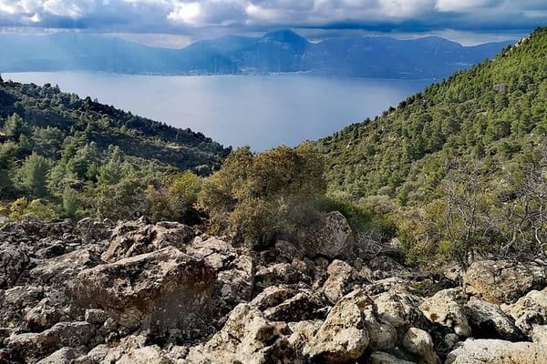 Full-Day Methana Volcano Trail and Thermal Baths