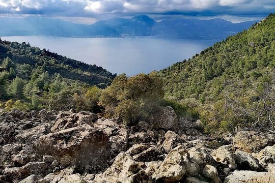 Full-Day Methana Volcano Trail and Thermal Baths
