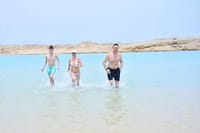 Discover Ras Muhammed Half Day by Bus Trip - Sharm El Sheikh
