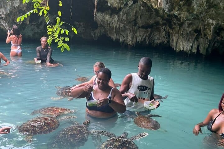 Swim with Sea Turtles at The Lagoons Zanzibar