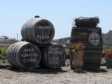 Private Food and Wine Tour in Akrotiri and Pyrgos Kallistis