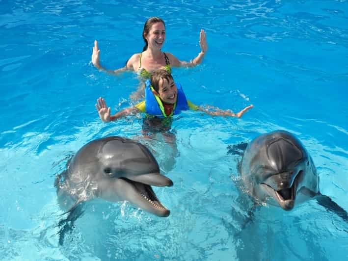 Dolphin Magic Show and Swim options in Sharm El Sheikh