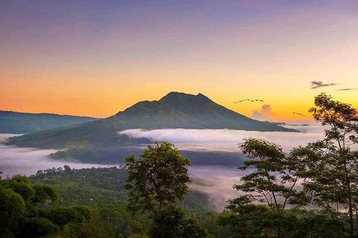 Full Day Tour - Best of Ubud with Visit Kintamani Volcano 5