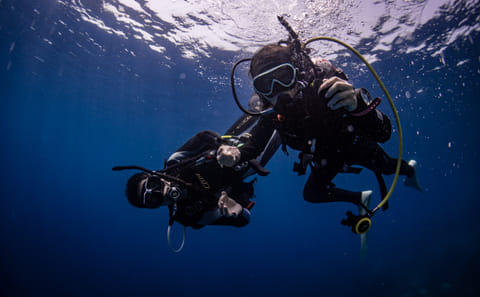 Scuba Diving Adventure in Jeddah's Red Sea Waters