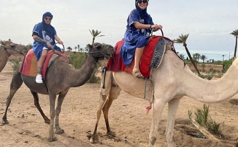 Private 8 Days Tours From Casablanca to Merzouga Desert and back
