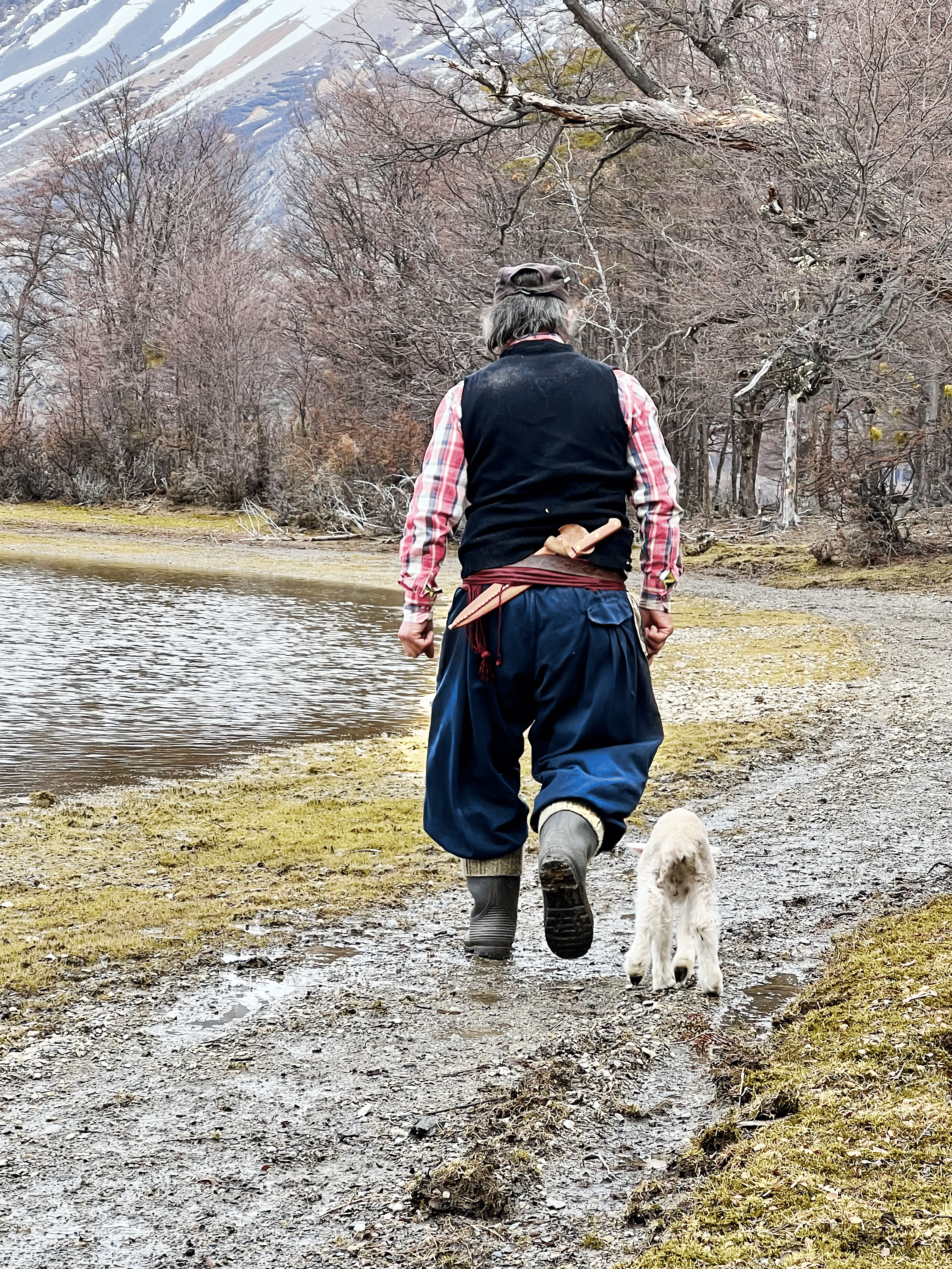 retrato del ratón Pradenas cominando junto a su corderito junto al Lago Christie, Ruta Mayer, Villa O'Higgins