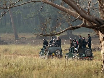 Wildlife Safari Tour in Bandhavgarh, Kanha & Pench Parks