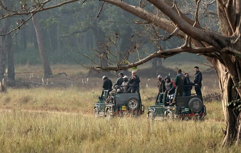 Wildlife Safari Tour in Bandhavgarh, Kanha & Pench Parks