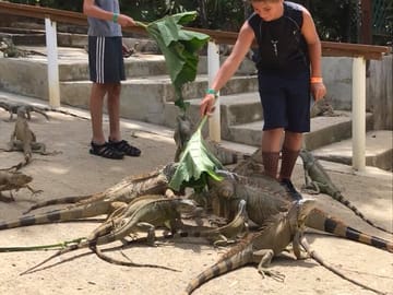 Roatan Eco Dune Buggy Sloths Safari Beach Adventure