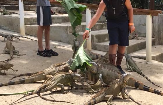 Roatan Eco-Adventure Safari: ATV Buggy Jungle Tour with Monkeys, Sloths Sanctuary & Private Beach Bliss