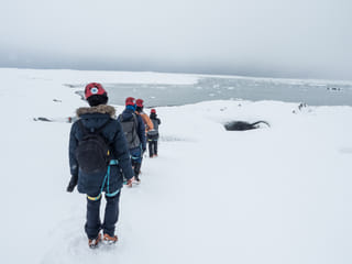 Vatnajökull Glacier Walk, photo 21