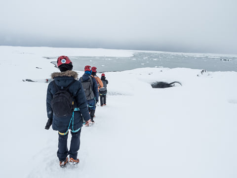 Vatnajökull Glacier Walk, photo 21