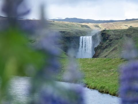 South Coast Adventure Private Tour, photo 3